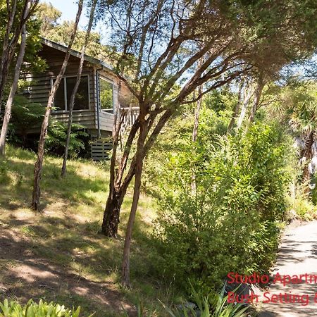 Bay Of Islands Holiday Apartments Paihia Quarto foto