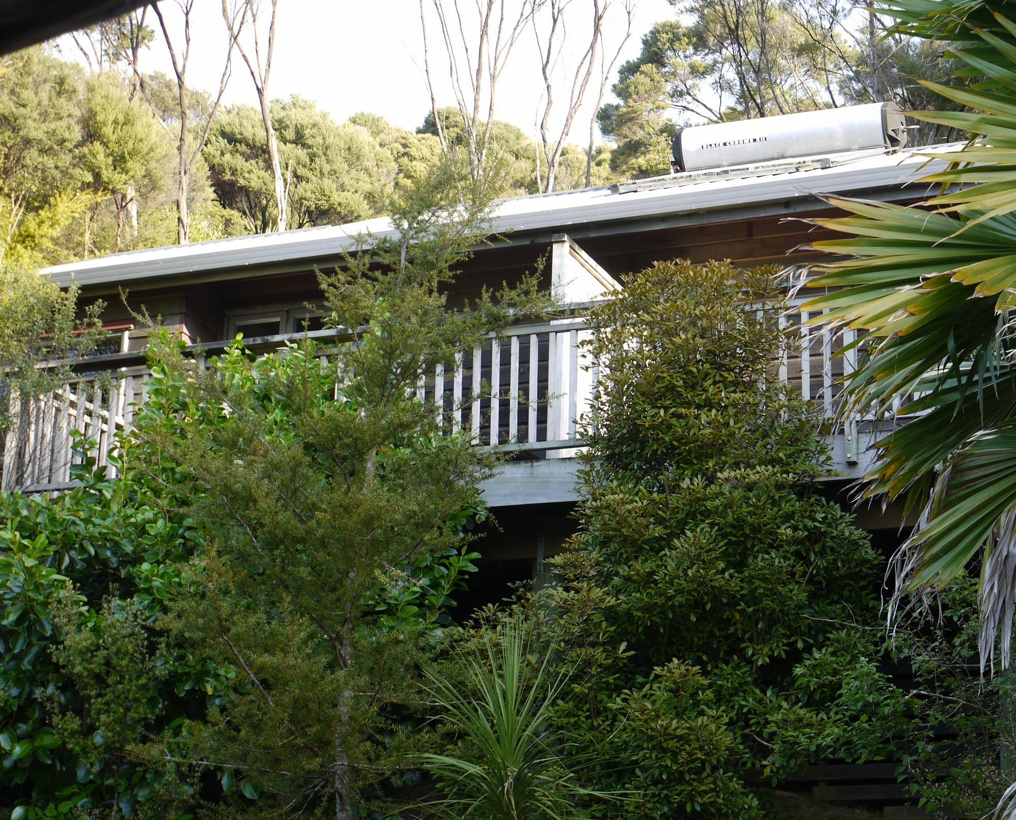 Bay Of Islands Holiday Apartments Paihia Exterior foto